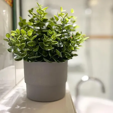 Godewind 24 Apartment *