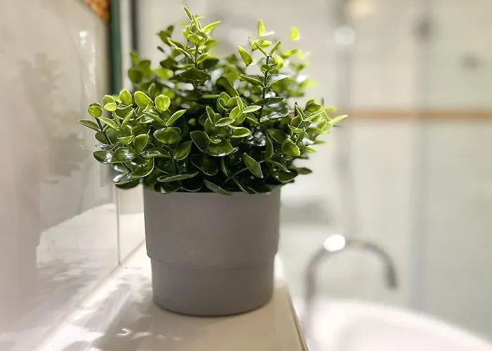 Godewind 24 Apartman *